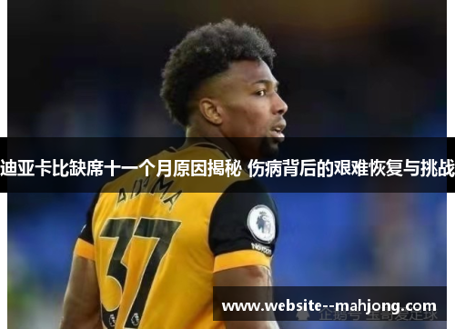 迪亚卡比缺席十一个月原因揭秘 伤病背后的艰难恢复与挑战