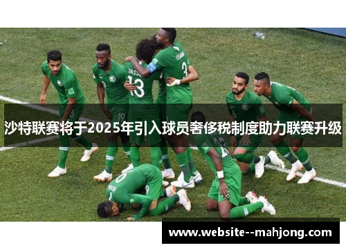 沙特联赛将于2025年引入球员奢侈税制度助力联赛升级 沙特联赛将于2025年引入球员奢侈税制度助力联赛升级